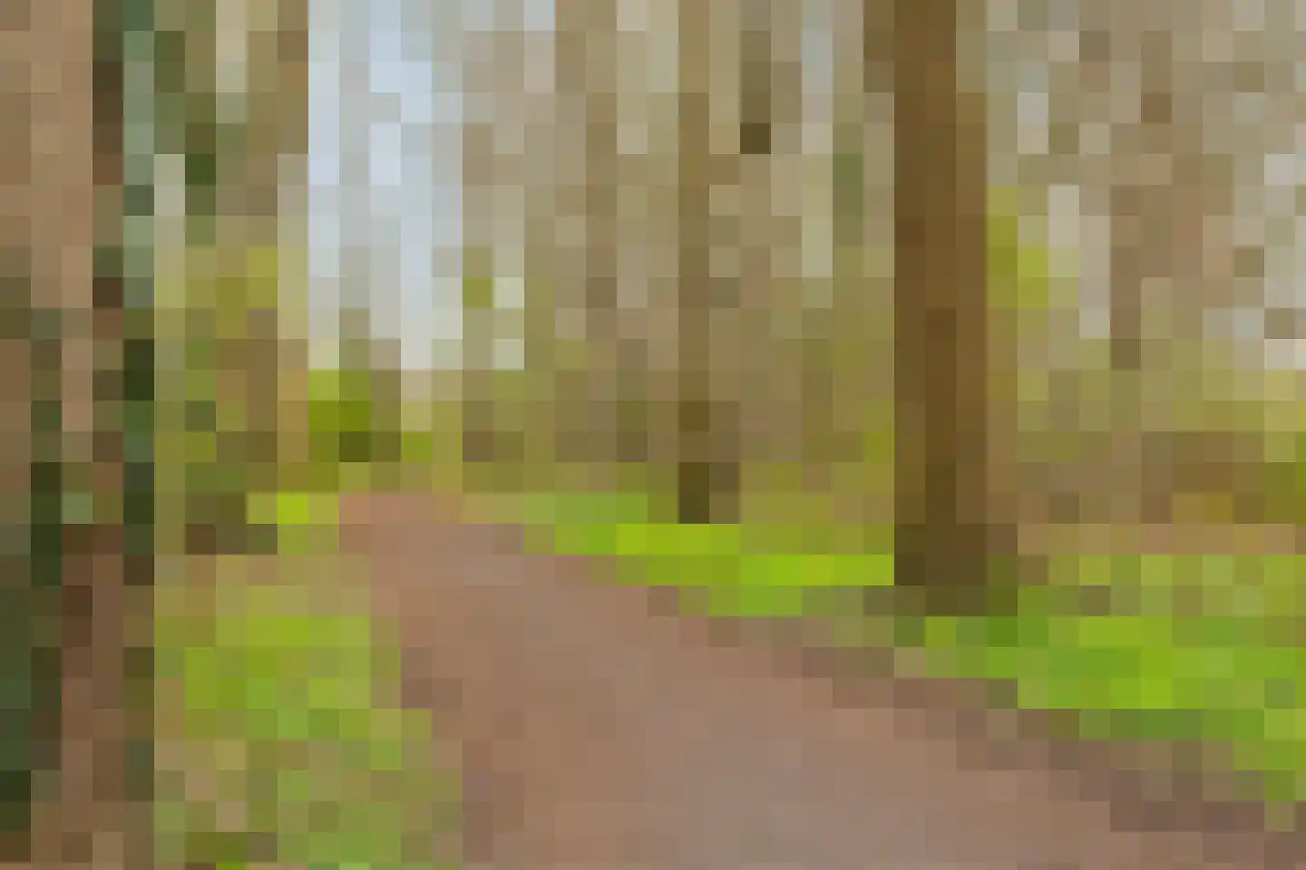 Prinses Ireneplateau 88 Utrecht thumbnail 42
