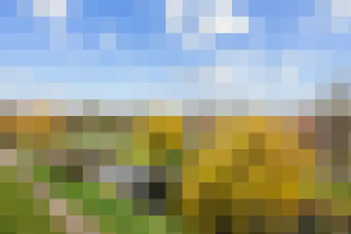 Prinses Ireneplateau 93 Utrecht thumbnail 5