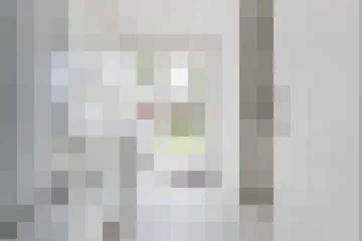 Prinses Ireneplein 9 Bergeijk thumbnail 17