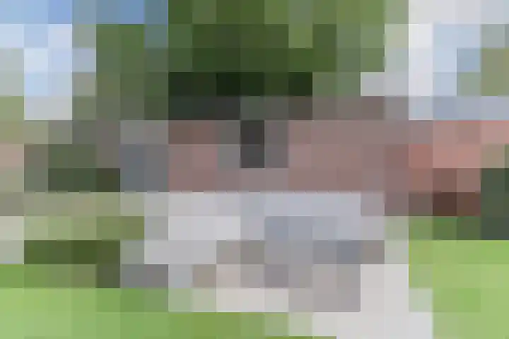 Prinses Ireneplein 9 Bergeijk thumbnail 36