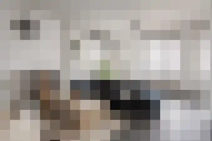 Prinses Irenestraat 1 Heerlen thumbnail 5