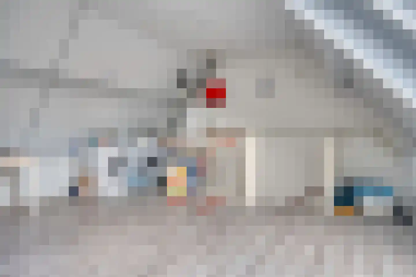 Prinses Irenestraat 10 Zwijndrecht thumbnail 30