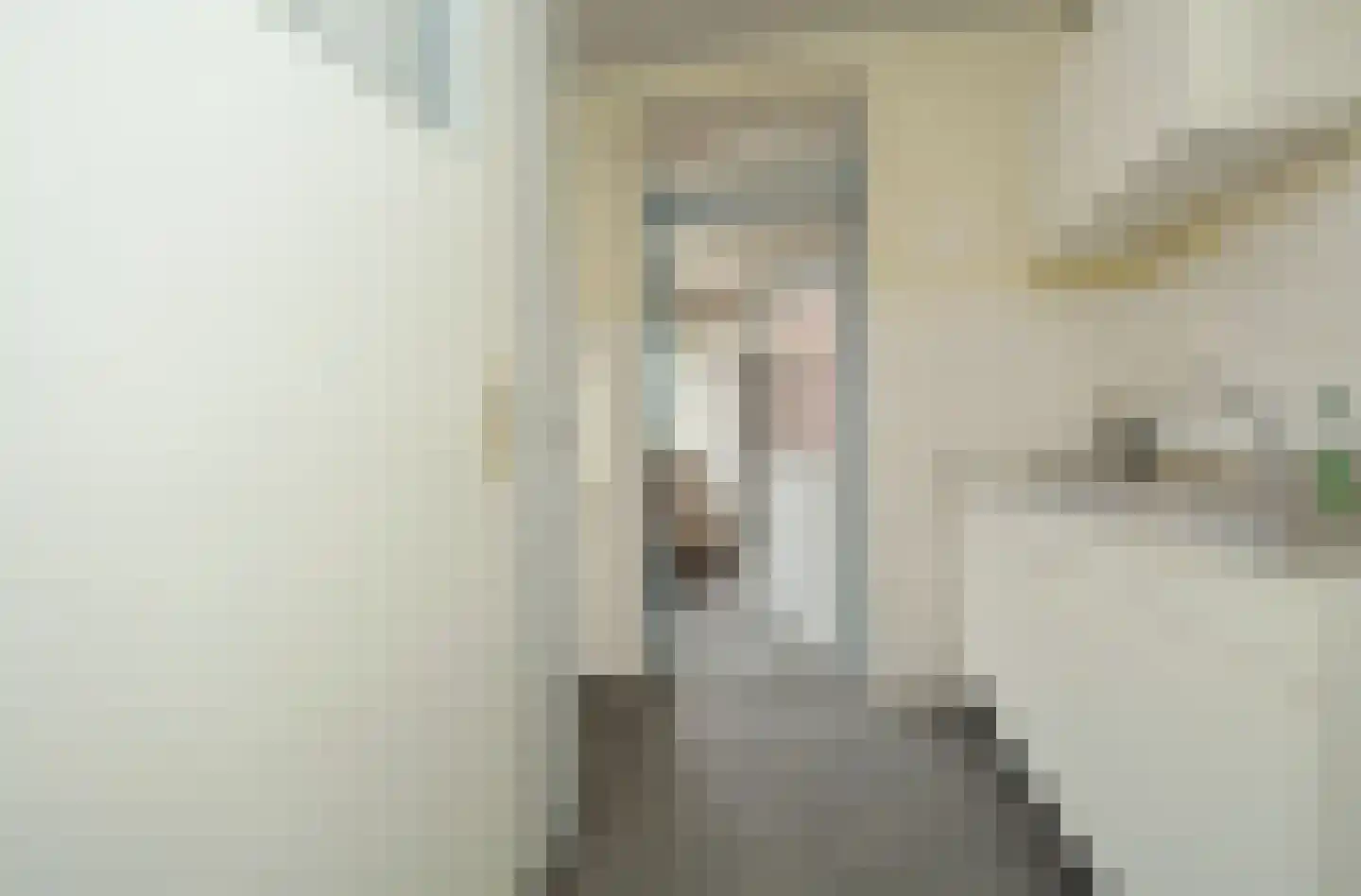 Prinses Irenestraat 11 Schoondijke thumbnail 12