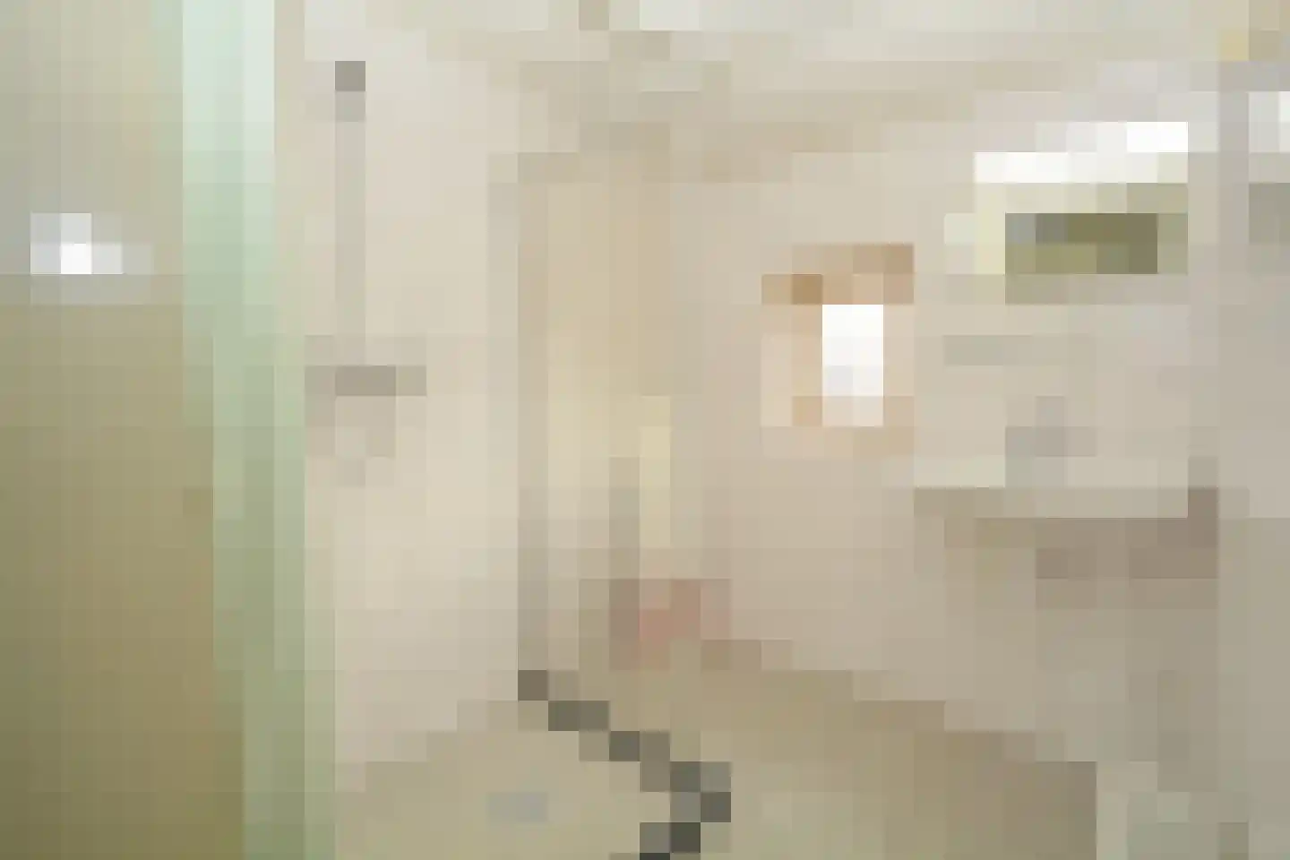 Prinses Irenestraat 11 Schoondijke thumbnail 17