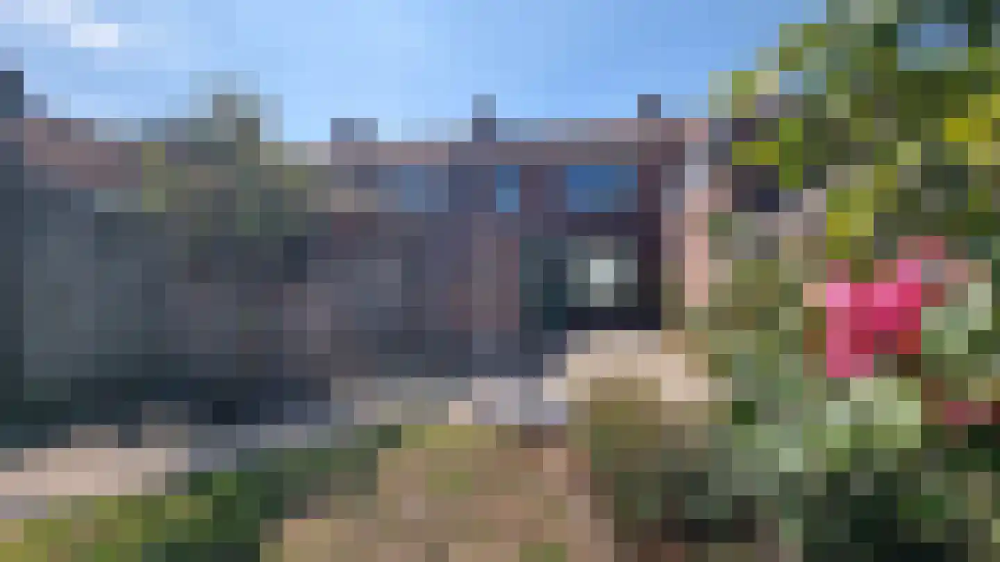 Prinses Irenestraat 11 Schoondijke thumbnail 24