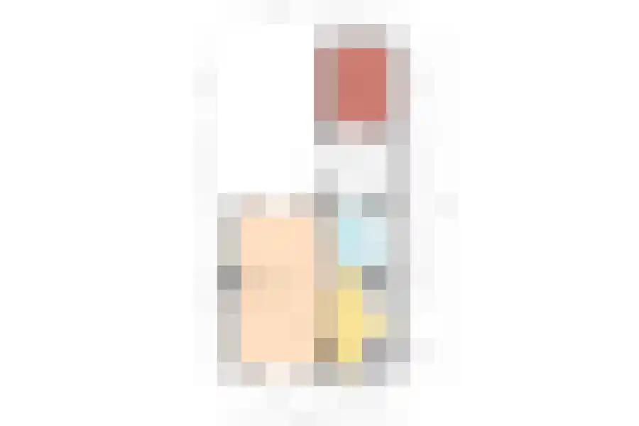 Prinses Irenestraat 11 Schoondijke thumbnail 40