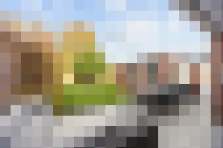Prinses Irenestraat 11 Stevensweert thumbnail 25