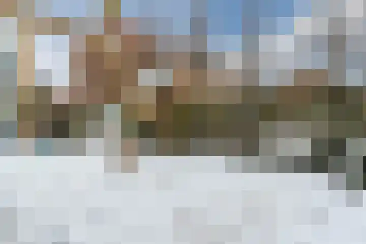 Prinses Irenestraat 12 Arkel thumbnail 36