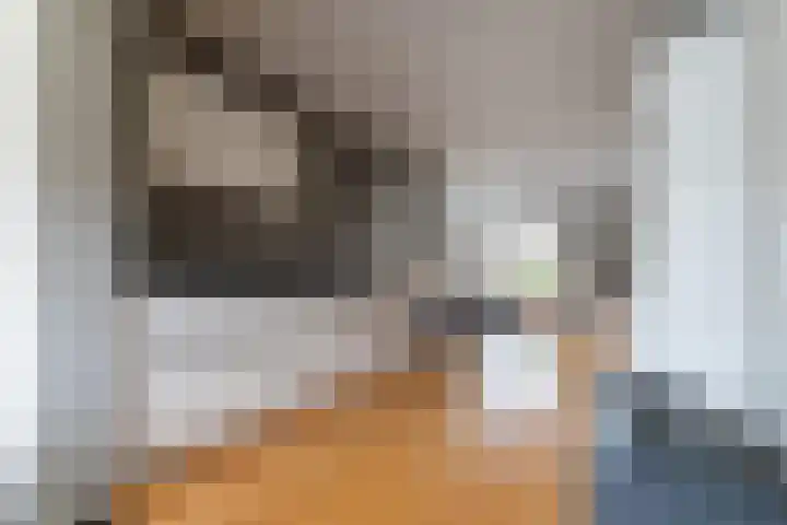 Prinses Irenestraat 12 b Baarlo thumbnail 14