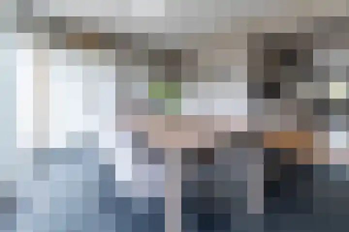 Prinses Irenestraat 12 b Baarlo thumbnail 16