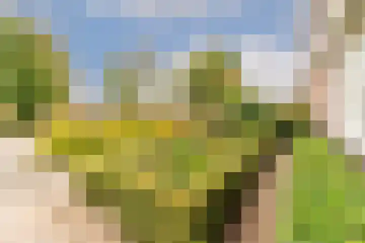 Prinses Irenestraat 12 b Baarlo thumbnail 4