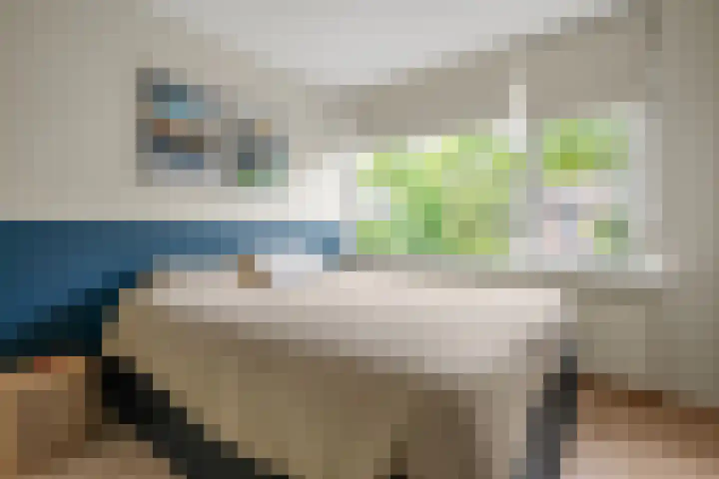 Prinses Irenestraat 12 Waddinxveen thumbnail 19