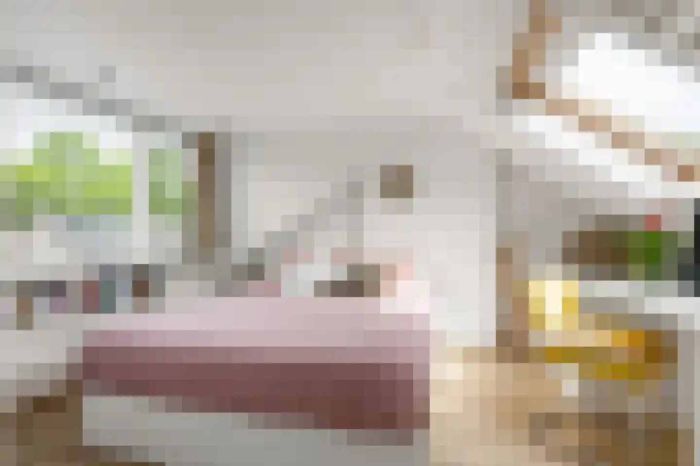 Prinses Irenestraat 12 Waddinxveen thumbnail 24