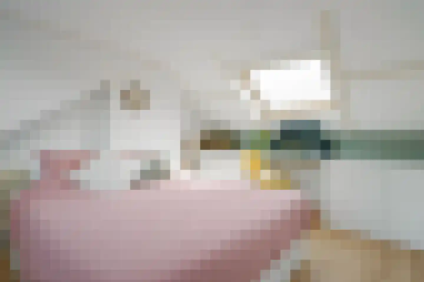 Prinses Irenestraat 12 Waddinxveen thumbnail 25