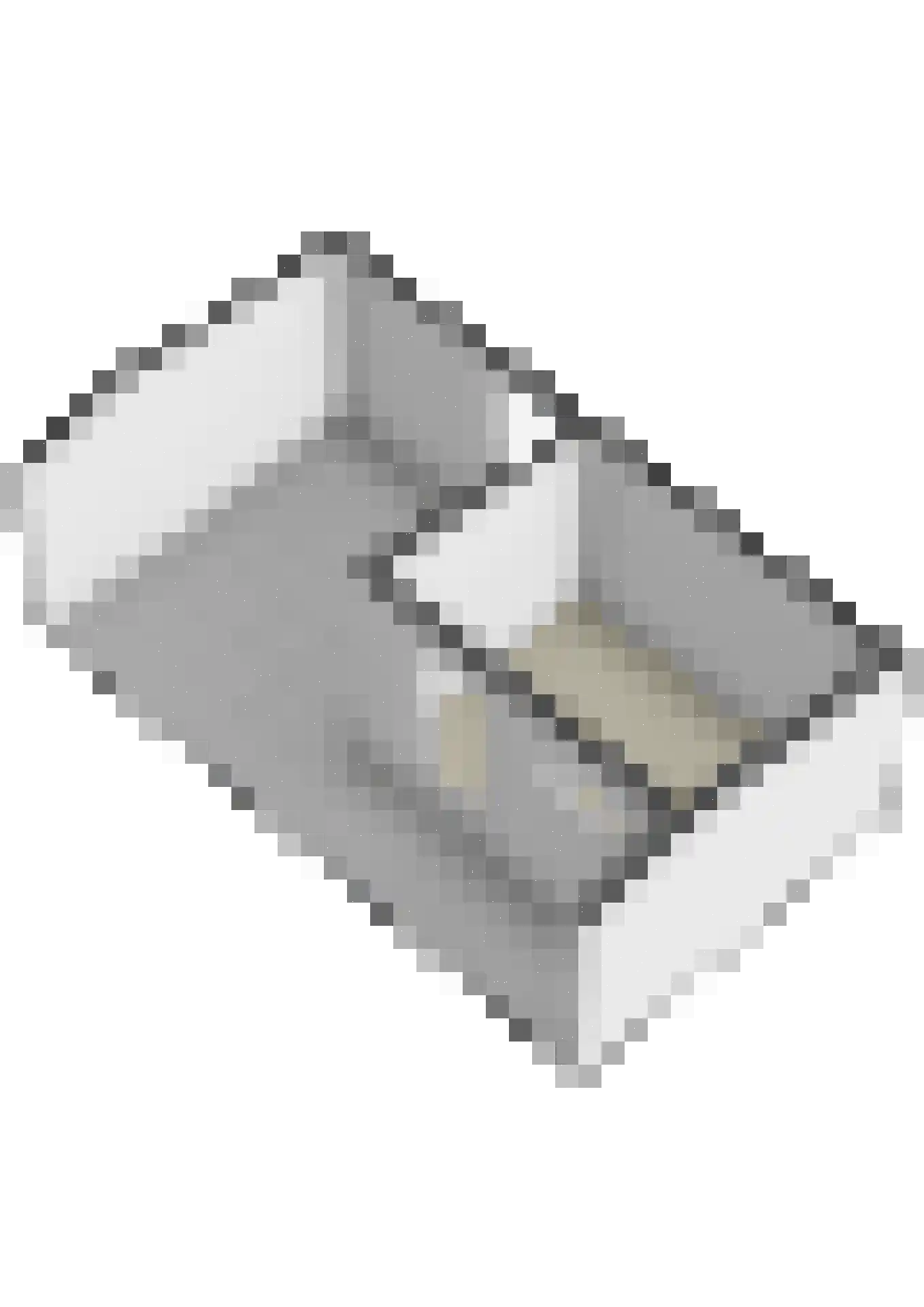 Prinses Irenestraat 12 Waddinxveen thumbnail 35
