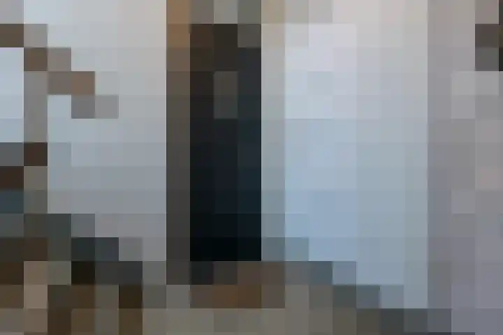 Prinses Irenestraat 13 Heerlen thumbnail 4