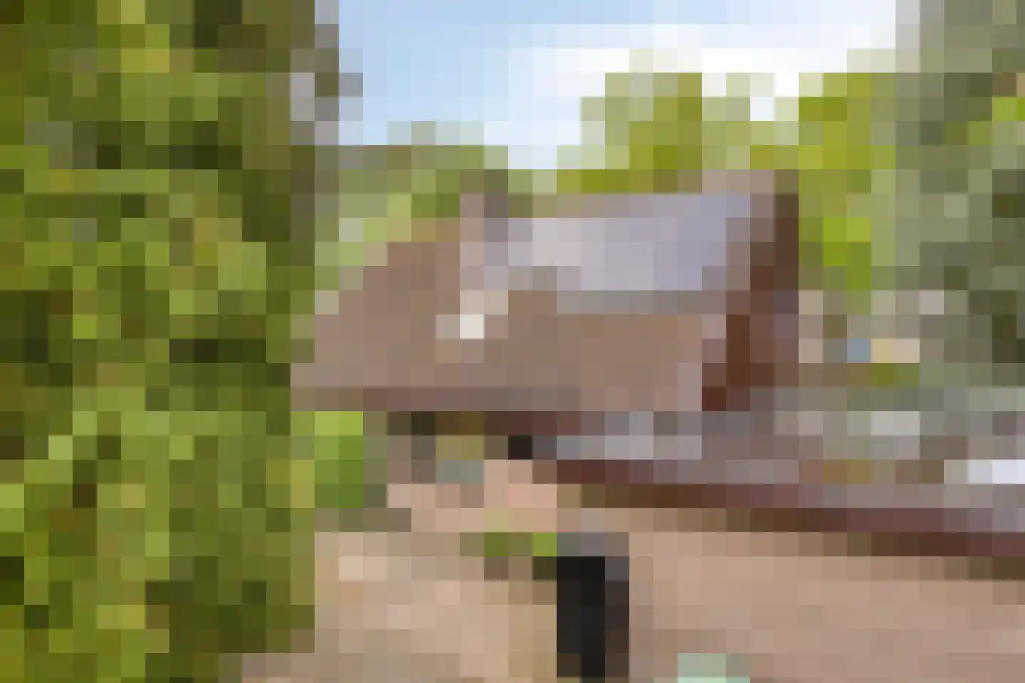 Prinses Irenestraat 13 Markelo thumbnail 33
