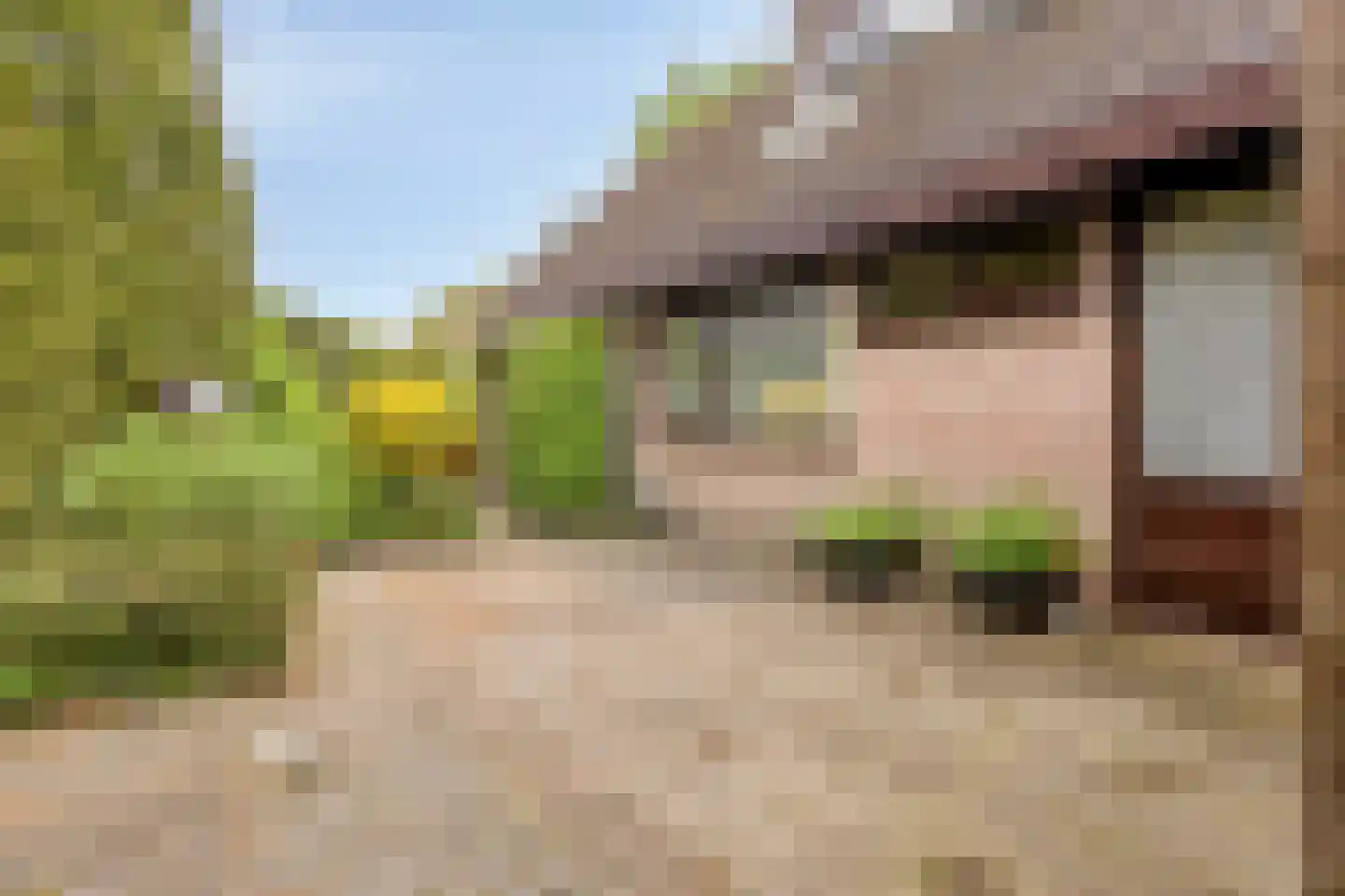 Prinses Irenestraat 13 Markelo thumbnail 37