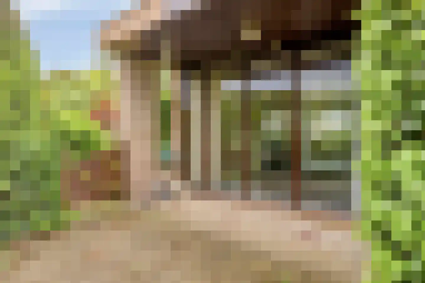 Prinses Irenestraat 13 Markelo thumbnail 38
