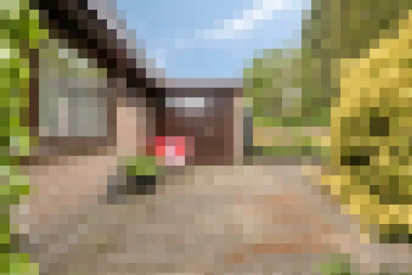 Prinses Irenestraat 13 Markelo thumbnail 39