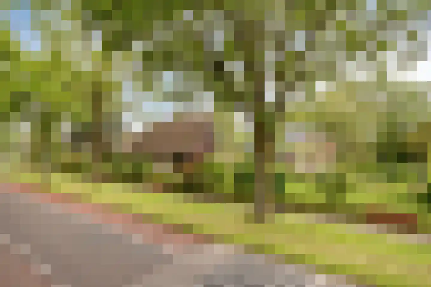 Prinses Irenestraat 13 Markelo thumbnail 51