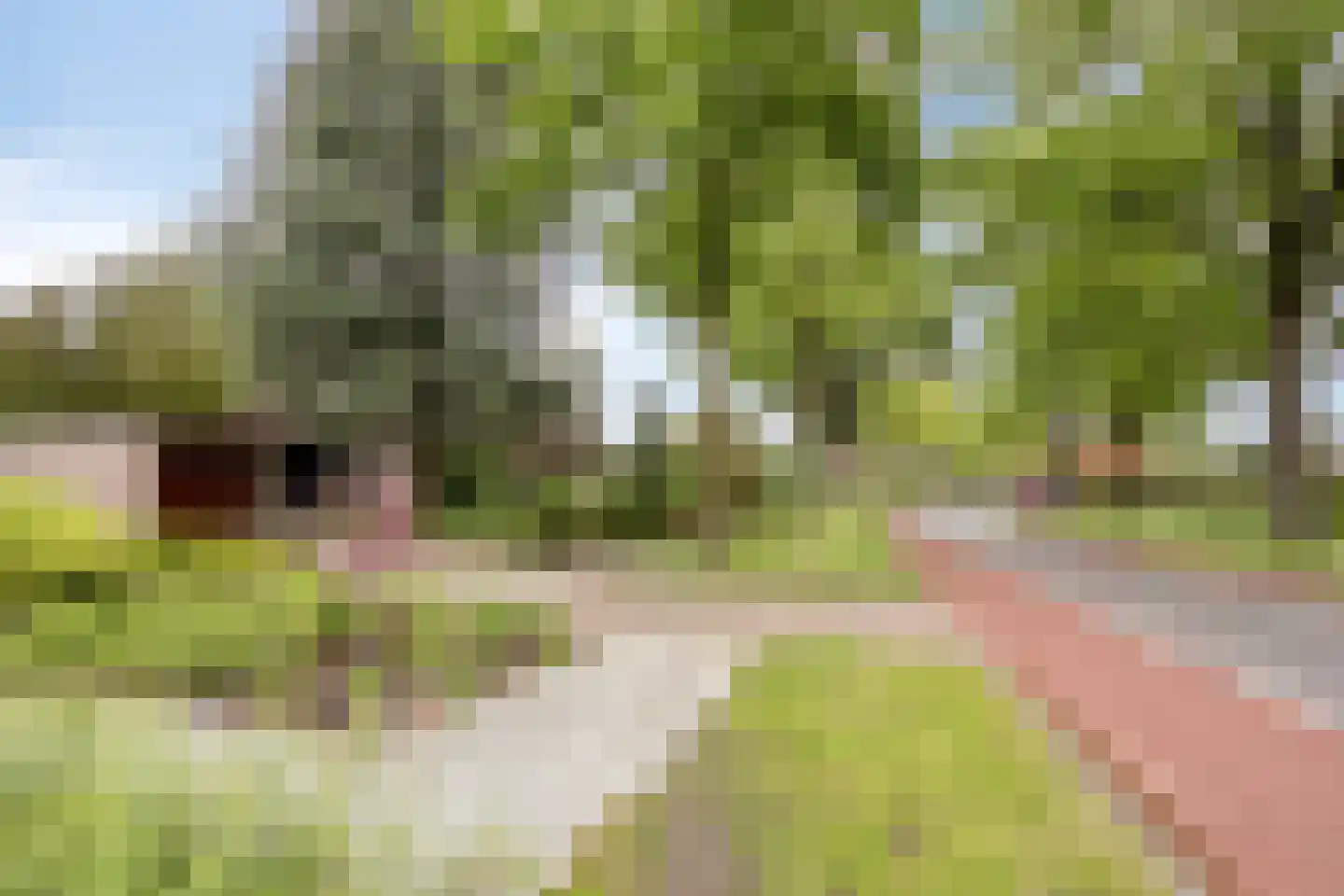 Prinses Irenestraat 13 Markelo thumbnail 52