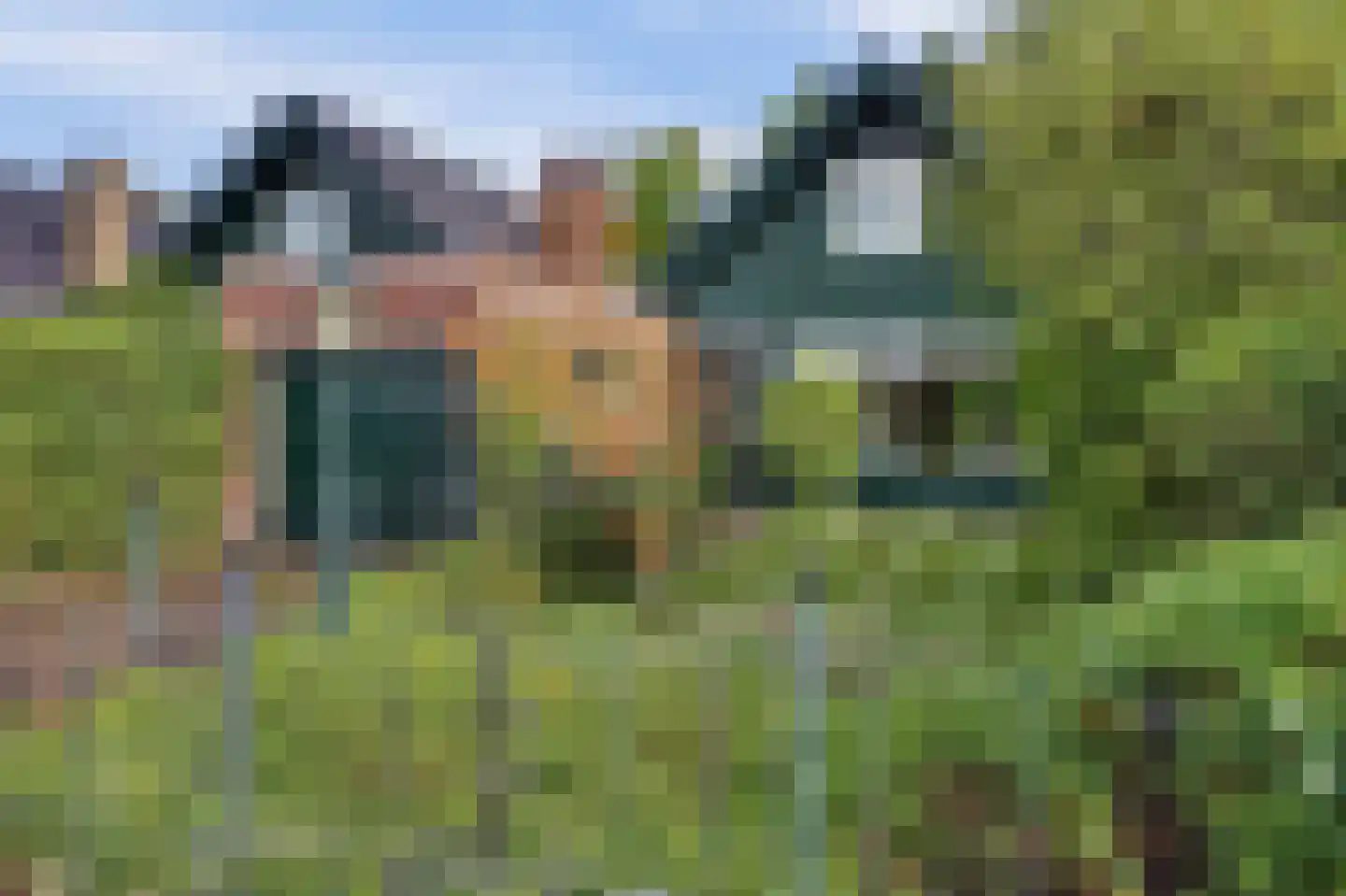 Prinses Irenestraat 13 Oud-Beijerland thumbnail 39