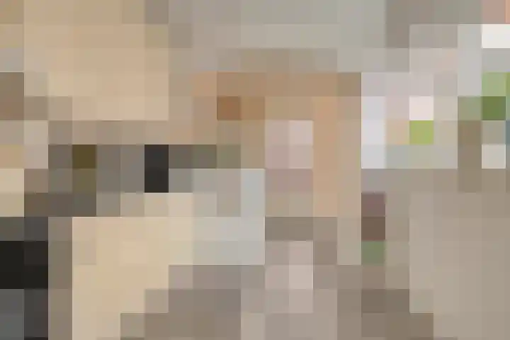 Prinses Irenestraat 13 Stavenisse thumbnail 15