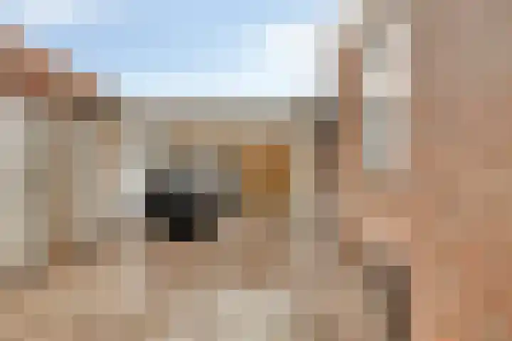 Prinses Irenestraat 13 Stavenisse thumbnail 30
