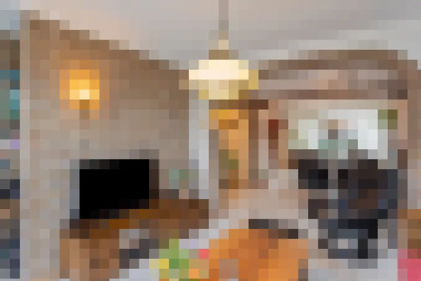 Prinses Irenestraat 14 Drunen thumbnail 10