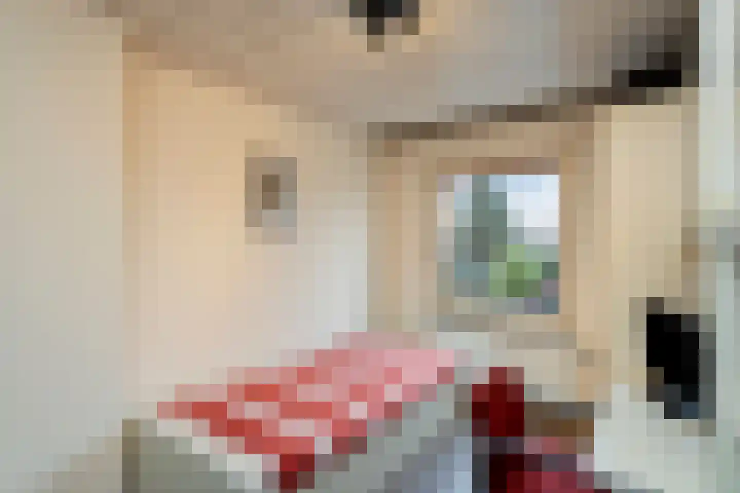 Prinses Irenestraat 14 Drunen thumbnail 19