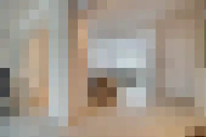 Prinses Irenestraat 15 Hedel thumbnail 10