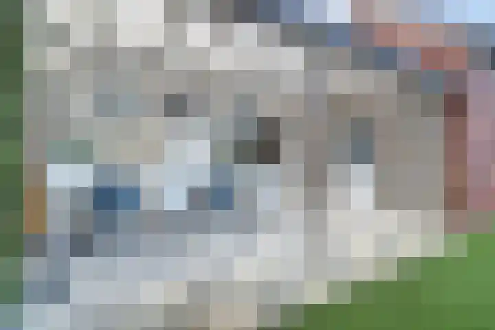 Prinses Irenestraat 15 Hedel thumbnail 32