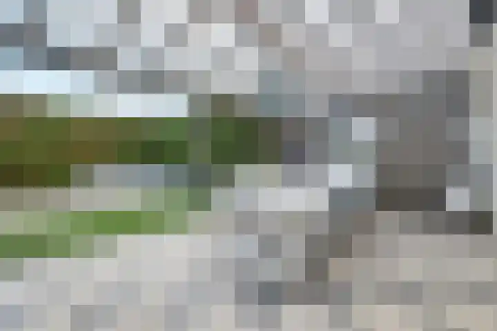 Prinses Irenestraat 15 Hedel thumbnail 34