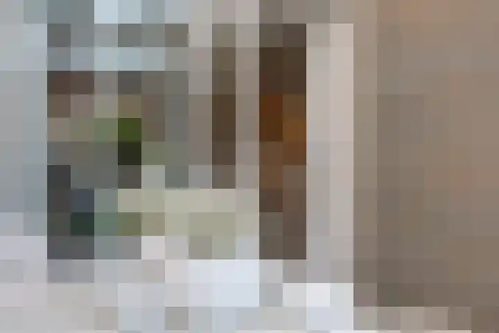Prinses Irenestraat 15 Hedel thumbnail 35