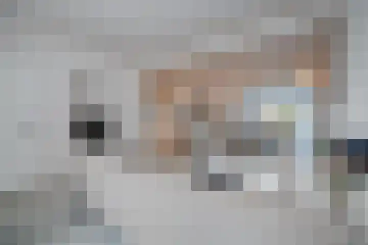 Prinses Irenestraat 15 Hedel thumbnail 8