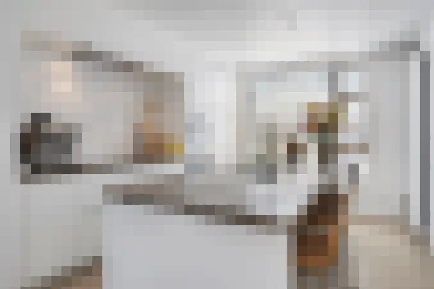 Prinses Irenestraat 15 Schoondijke thumbnail 12