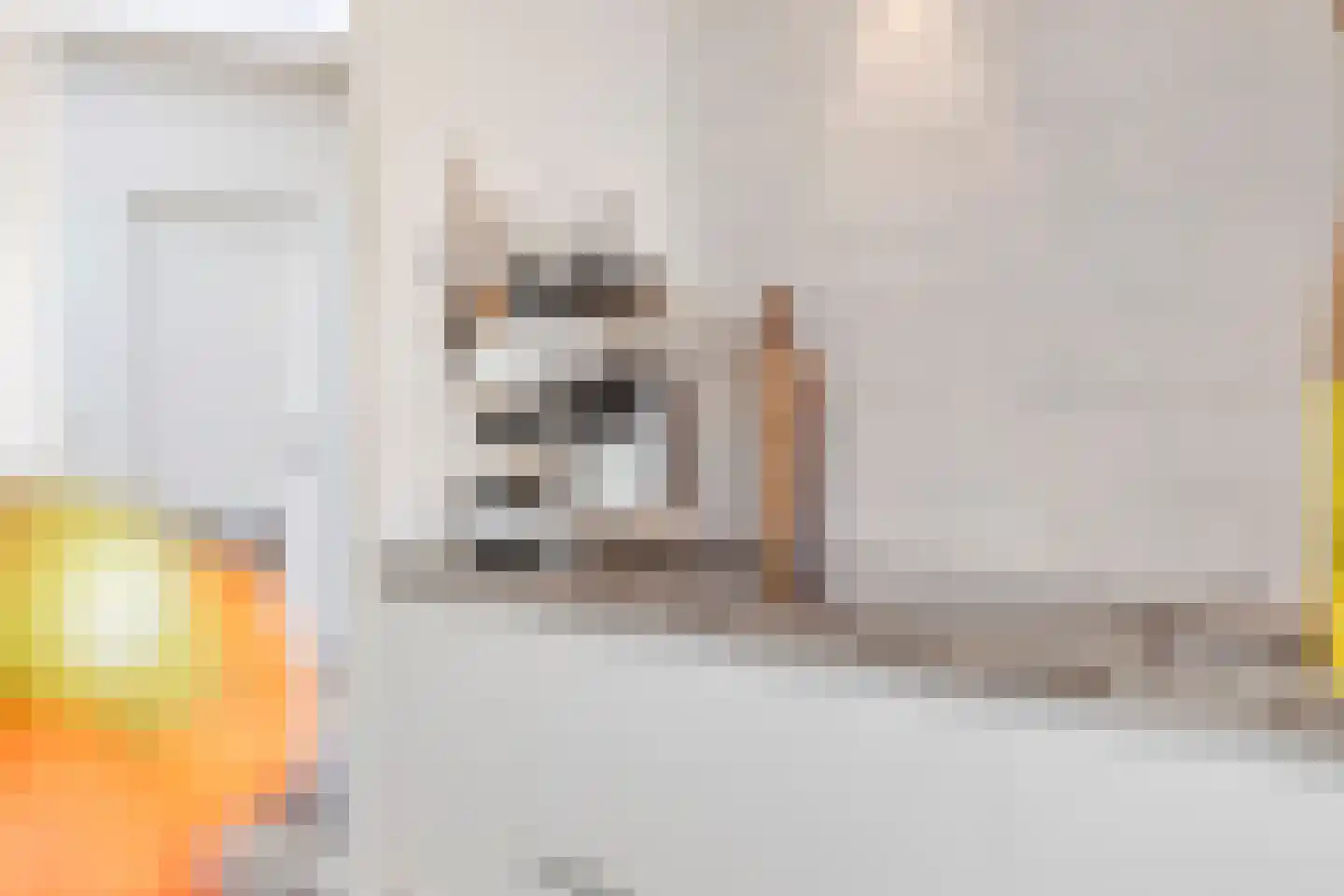 Prinses Irenestraat 15 Schoondijke thumbnail 17