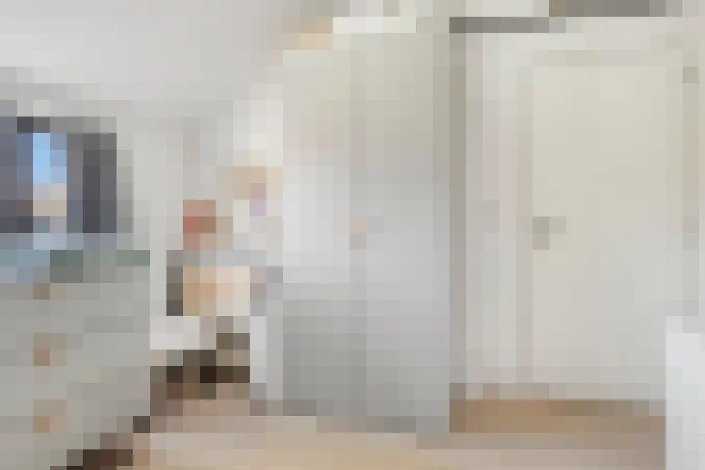 Prinses Irenestraat 15 Schoondijke thumbnail 29