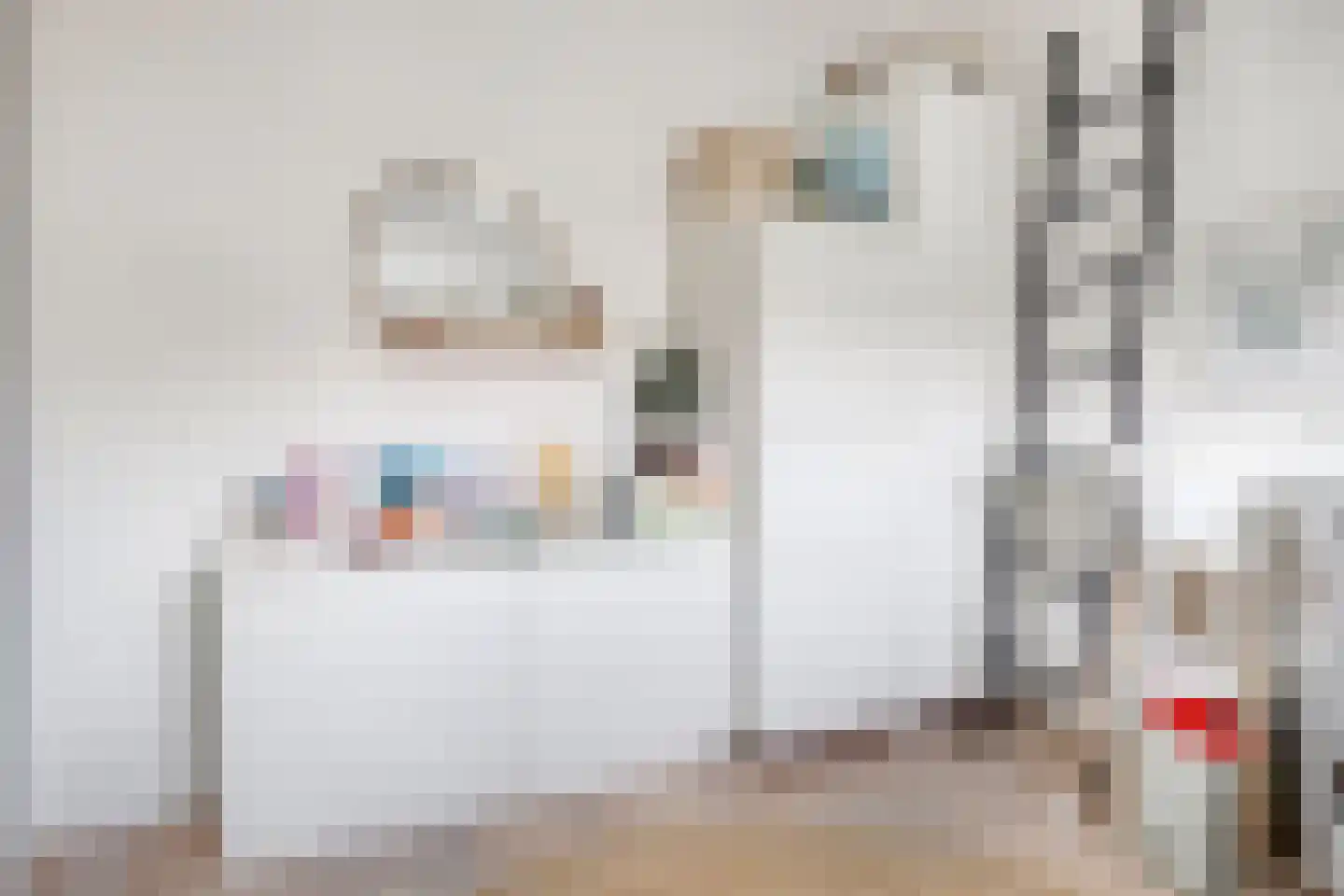 Prinses Irenestraat 15 Schoondijke thumbnail 30