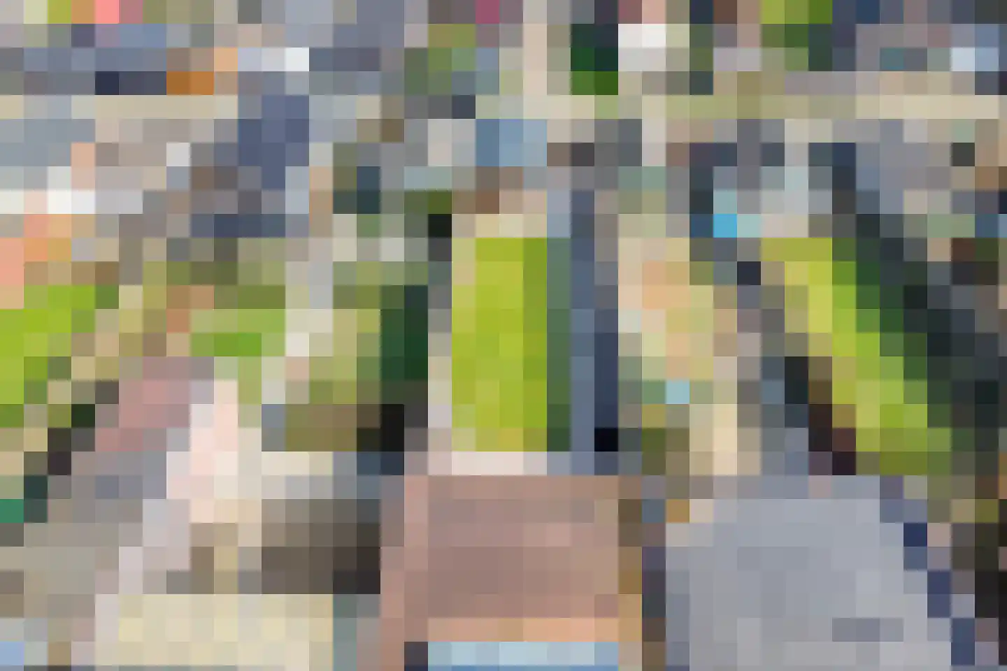 Prinses Irenestraat 15 Schoondijke thumbnail 37