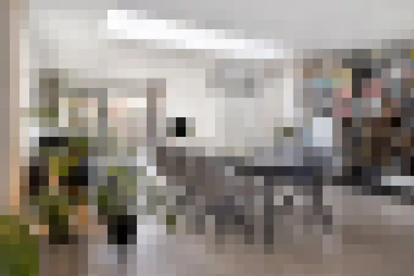 Prinses Irenestraat 15 Schoondijke thumbnail 8
