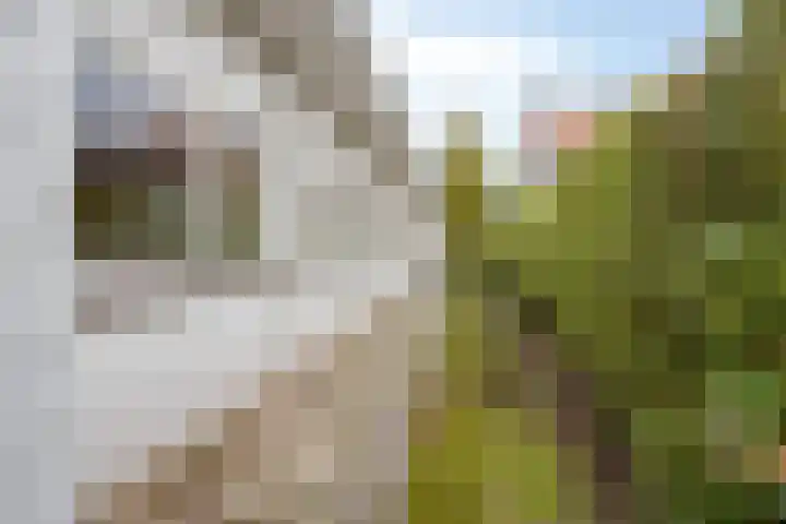 Prinses Irenestraat 2 Dongen thumbnail 32