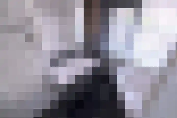 Prinses Irenestraat 2 Olst thumbnail 4
