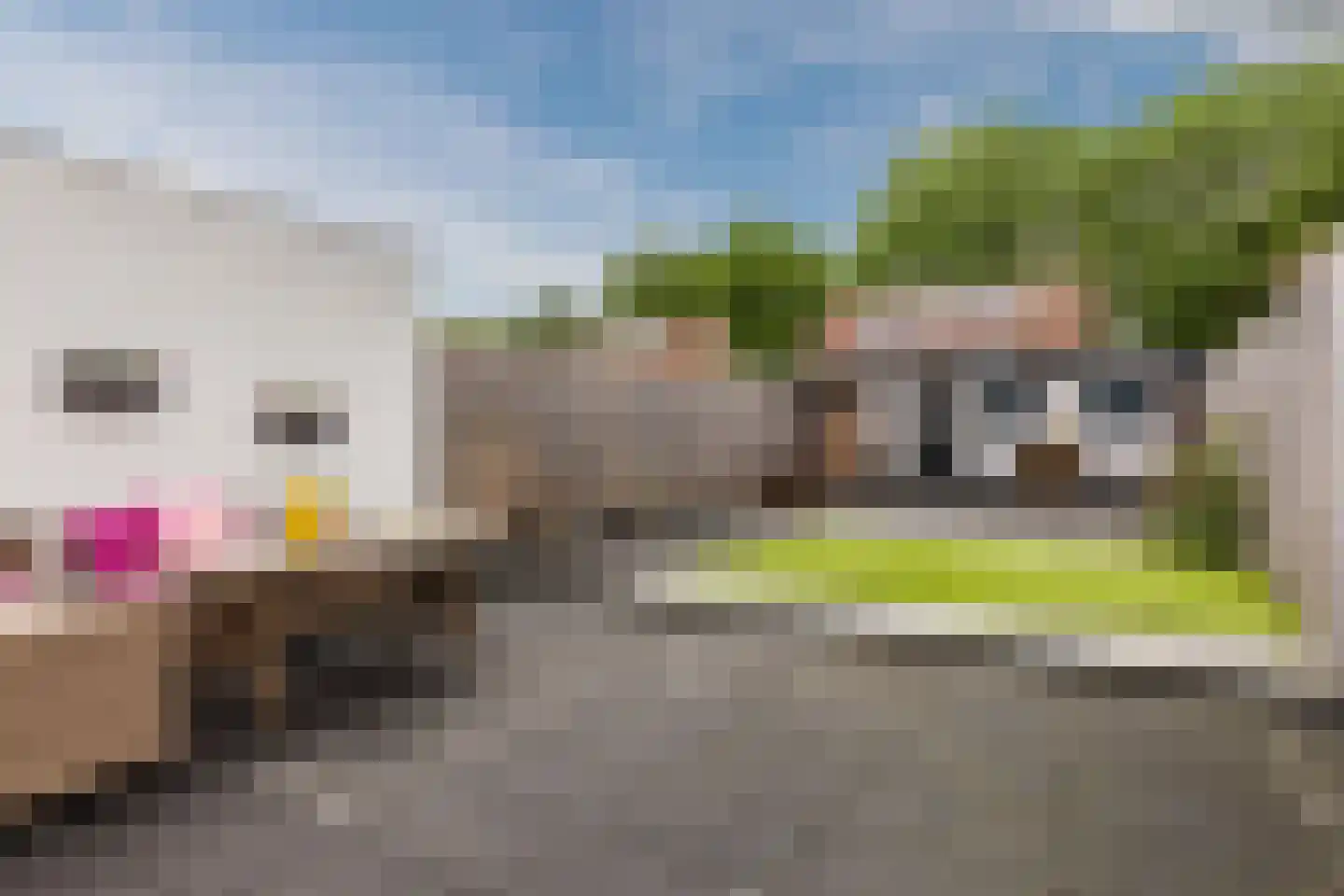 Prinses Irenestraat 20 Berkel-Enschot thumbnail 4