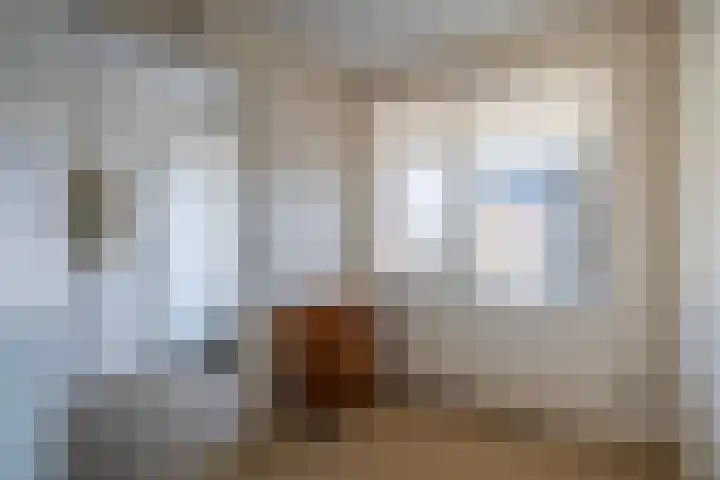 Prinses Irenestraat 20 Elst thumbnail 17