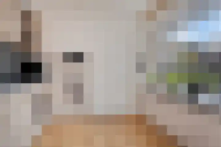 Prinses Irenestraat 20 Markelo thumbnail 15