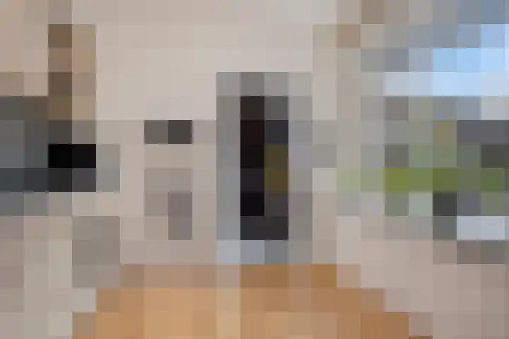 Prinses Irenestraat 20 Markelo thumbnail 16