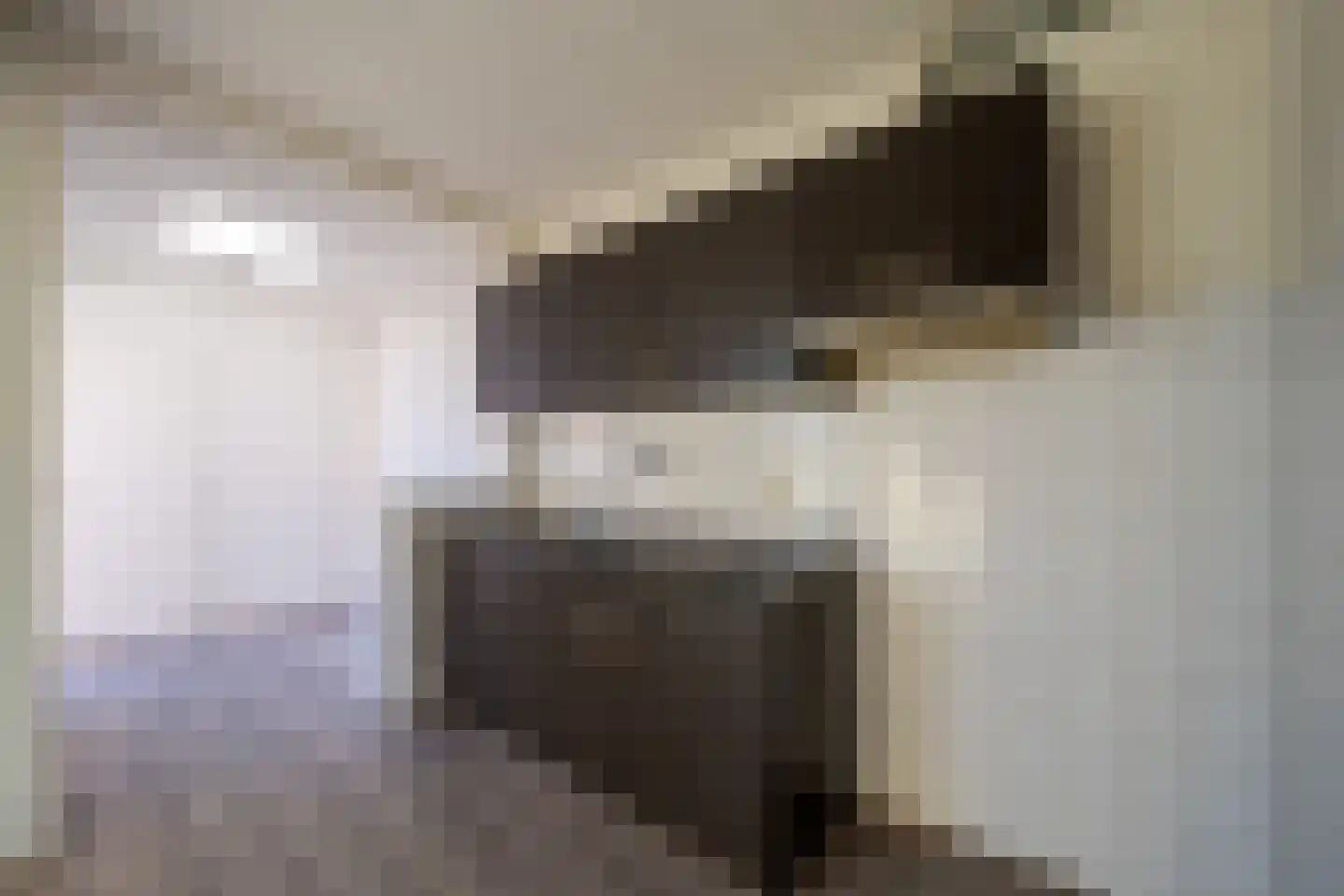 Prinses Irenestraat 22 Markelo thumbnail 6