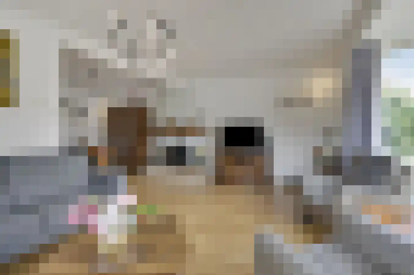 Prinses Irenestraat 23 Didam thumbnail 21